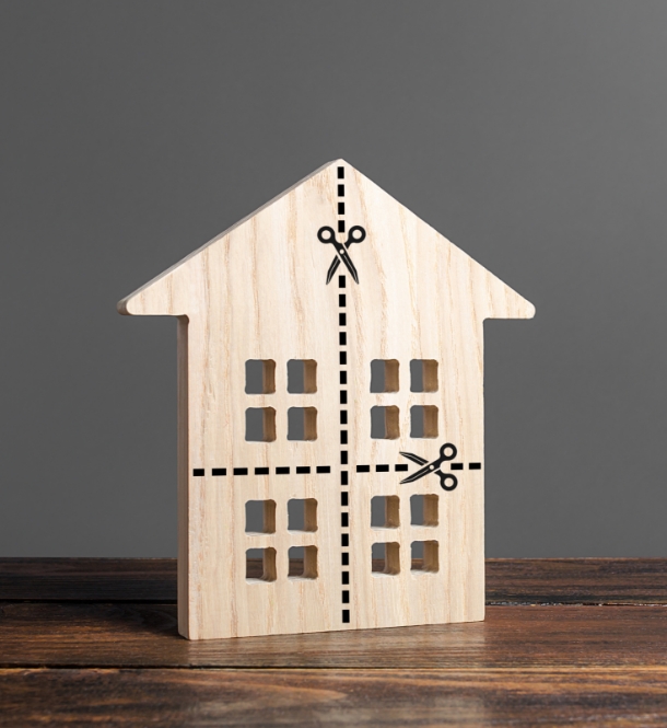 house image